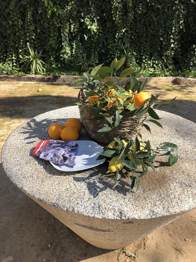 Villalon Finca El Bramaderoゲストハウス エクステリア 写真